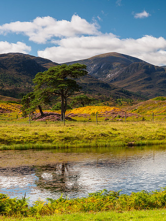 Glen Cannich View 2