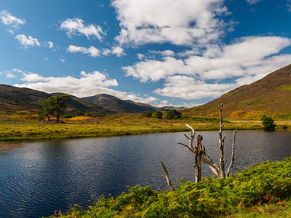 Glen Cannich View 1