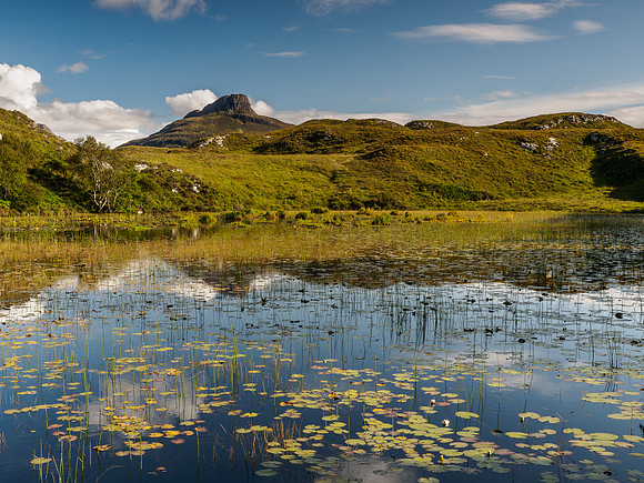 Stac Pollaidh and Lilies