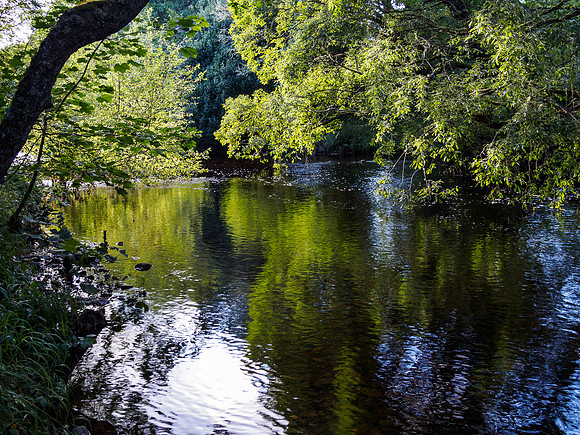 River Enrick