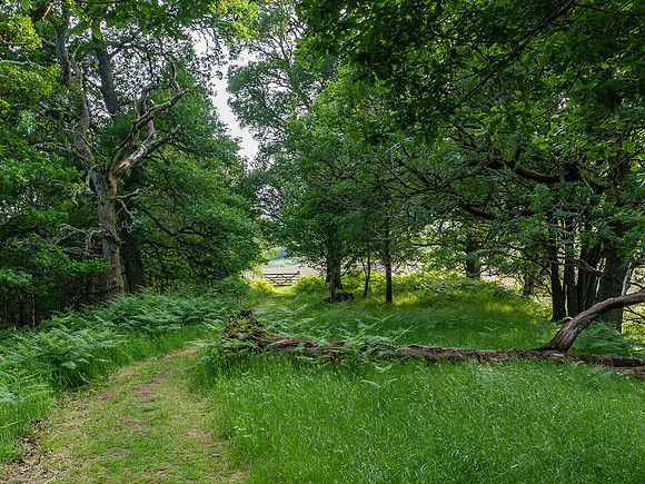 A Gate to Nature