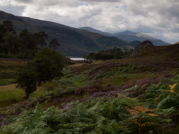 20110827-Glen Strathfarrar-Q8273165
