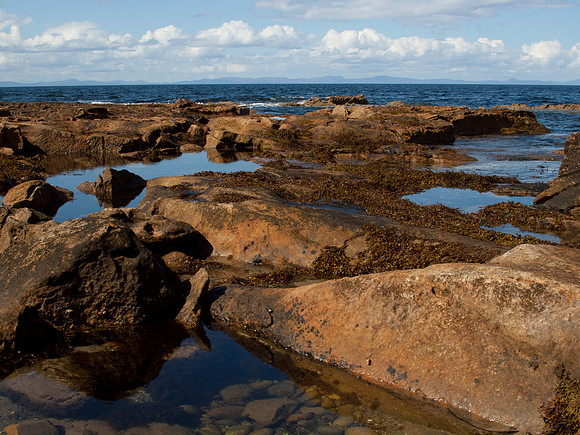 20110814-Lossiemouth-Q8142956