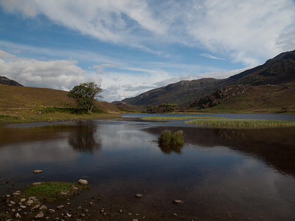 20110827-Glen Strathfarrar-Q8273184