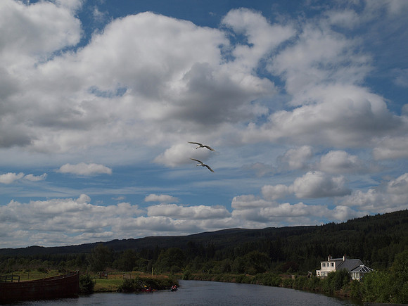 20110803-Kytra-Q8032707