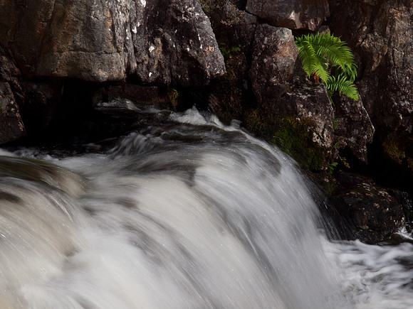 20110827-Glen Strathfarrar-Q8273224