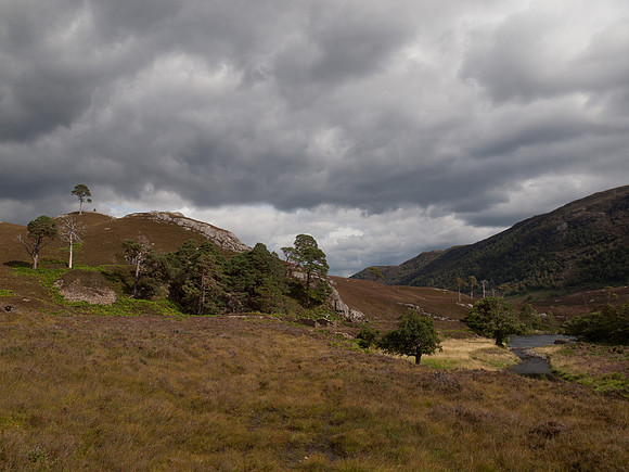 20110827-Glen Strathfarrar-Q8273175