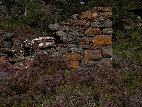 20110827-Glen Strathfarrar-Q8273161