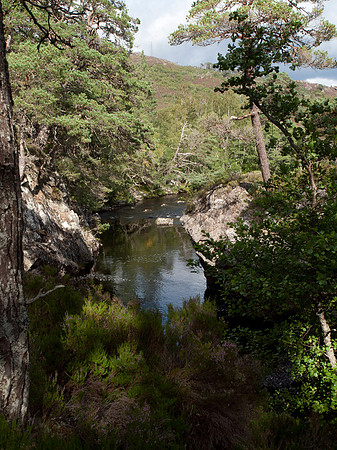 20110827-Glen Strathfarrar-Q8273216