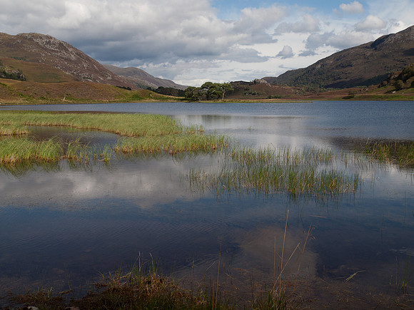20110827-Glen Strathfarrar-Q8273205