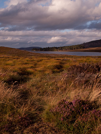 20110830-Lochindorb-Q8303280