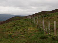 20110802-Tomich-Q8022687