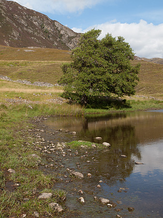 20110827-Glen Strathfarrar-Q8273198
