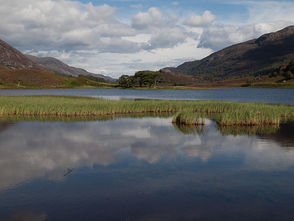 20110827-Glen Strathfarrar-Q8273199