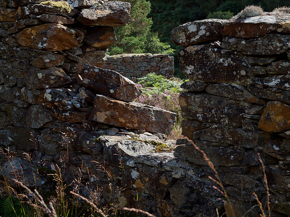 20110827-Glen Strathfarrar-Q8273159
