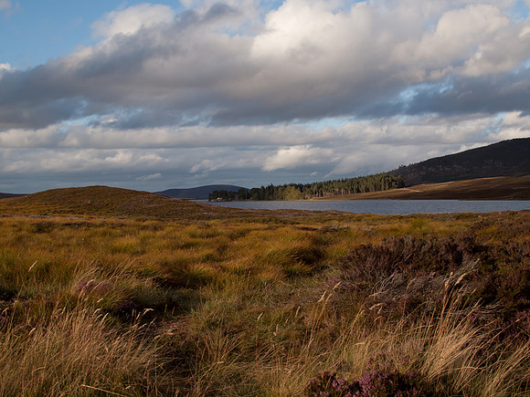 20110830-Lochindorb-Q8303279