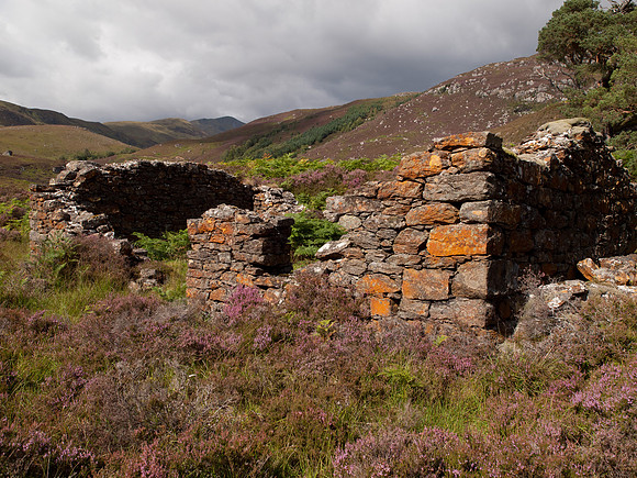 20110827-Glen Strathfarrar-Q8273174
