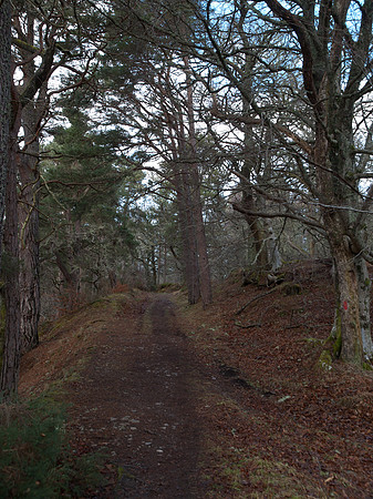 20110215-Kilmorack-P2150650