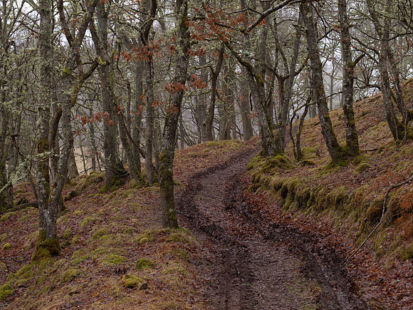 20110214-Grotaig-P2140560