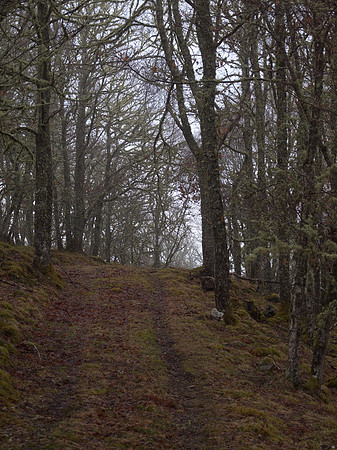 20110214-Grotaig-P2140584