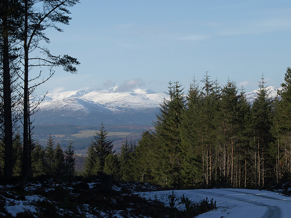 20110217-Cnoc a' Bhuachaille-P2170692