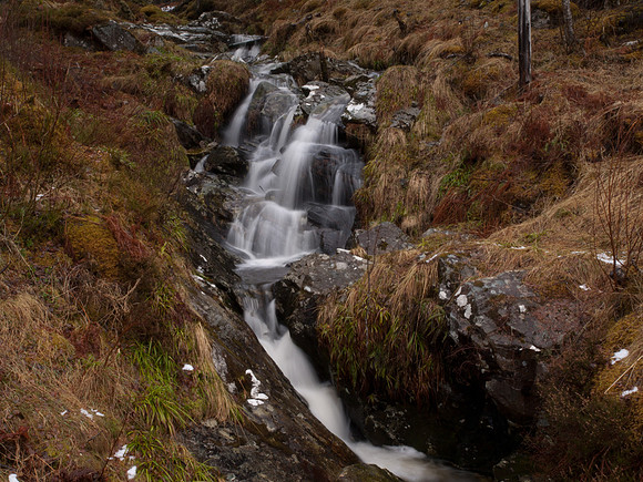 20110216-Glen Affric-P2160660