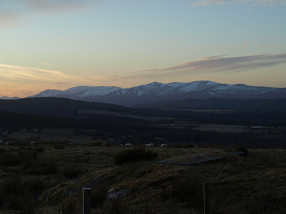 20110210-Abriachan-P2100452