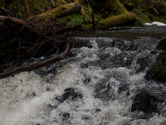 20110214-Grotaig-P2140610