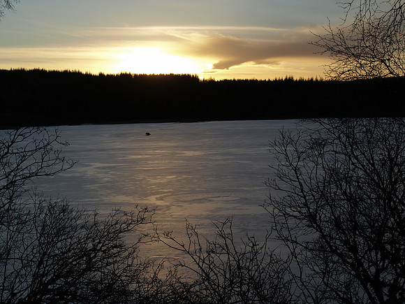 20110210-Abriachan-P2100443