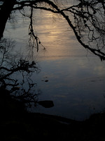 20110210-Abriachan-P2100445