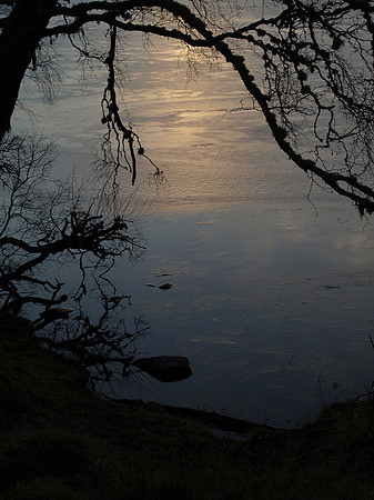 20110210-Abriachan-P2100445