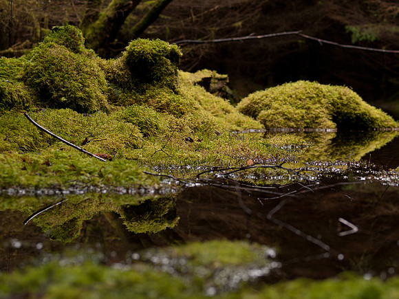 20110214-Grotaig-P2140572