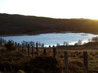 20110210-Abriachan-P2100439
