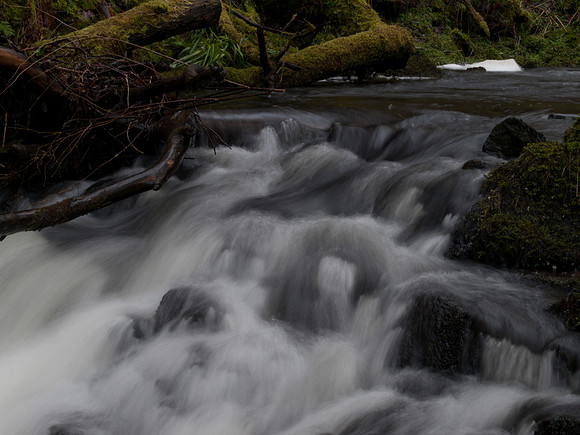 20110214-Grotaig-P2140609