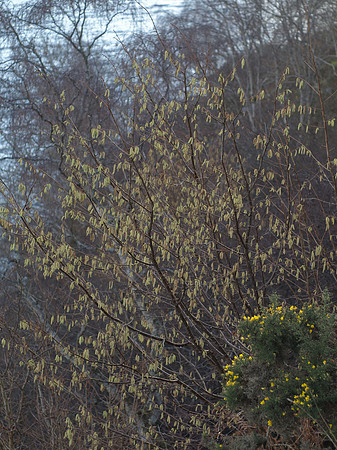 20110223-Loch Ness-P2230854