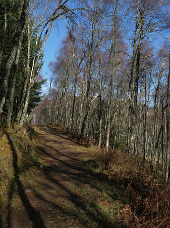 20110217-Cnoc a' Bhuachaille-P2170676