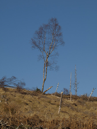 20110217-Cnoc a' Bhuachaille-P2170718