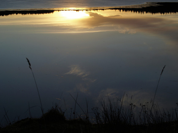 20110210-Abriachan-P2100448