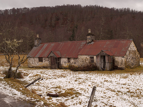 20110216-Glen Affric-P2160670