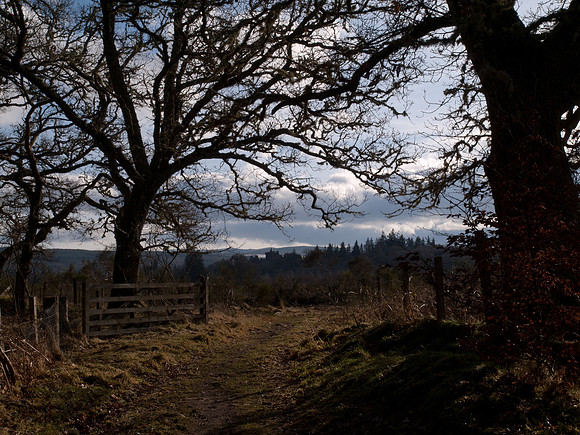 20110215-Kilmorack-P2150639
