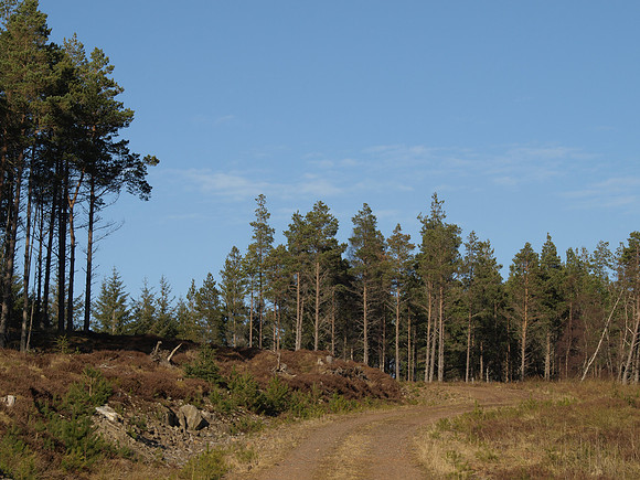 20110217-Cnoc a' Bhuachaille-P2170708