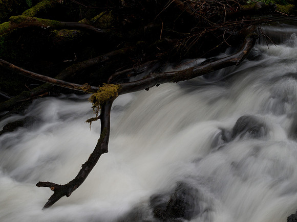 20110214-Grotaig-P2140608