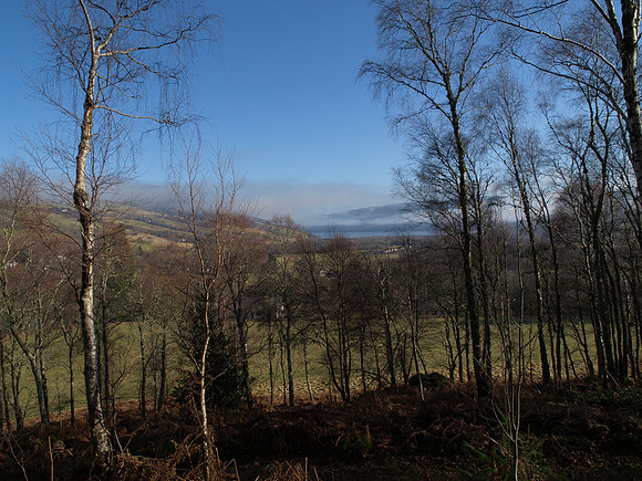 20110217-Cnoc a' Bhuachaille-P2170677