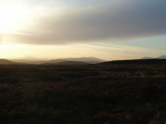 20110210-Abriachan-P2100428