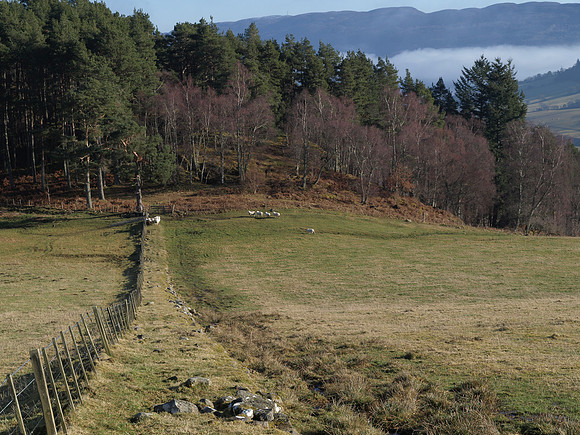 20110217-Cnoc a' Bhuachaille-P2170686