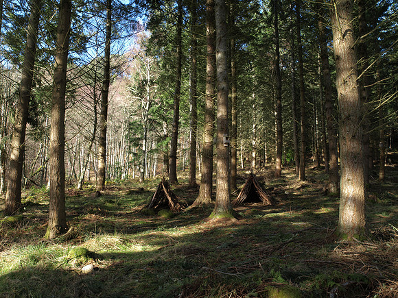 20110217-Cnoc a' Bhuachaille-P2170674