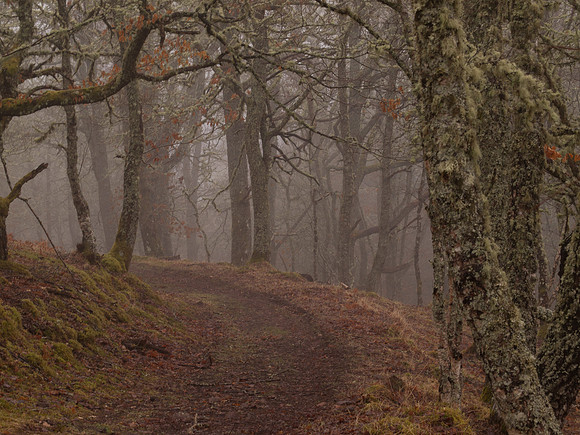 20110214-Grotaig-P2140555