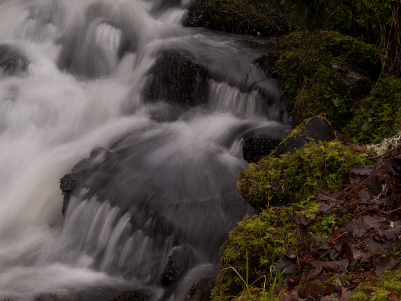 20110214-Grotaig-P2140607