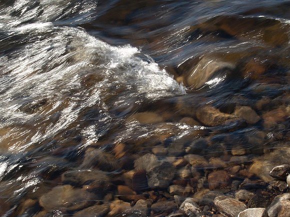 20110212-Urquhart Bay Woods-P2120505