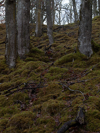 20110214-Grotaig-P2140559